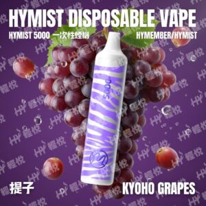 HY_HYMIST一次性煙機_提子